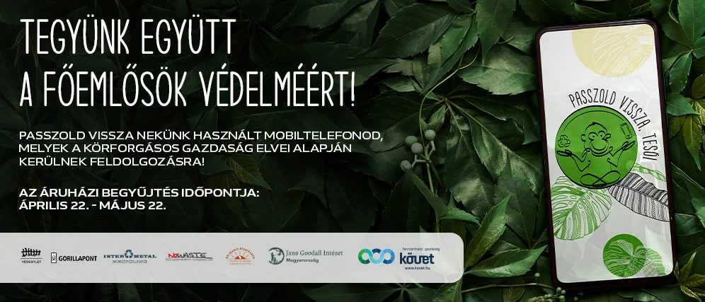 Passzold vissza, Tesó!