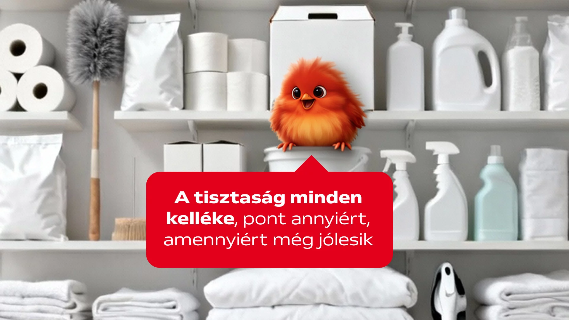 Ragyogó tisztaság!