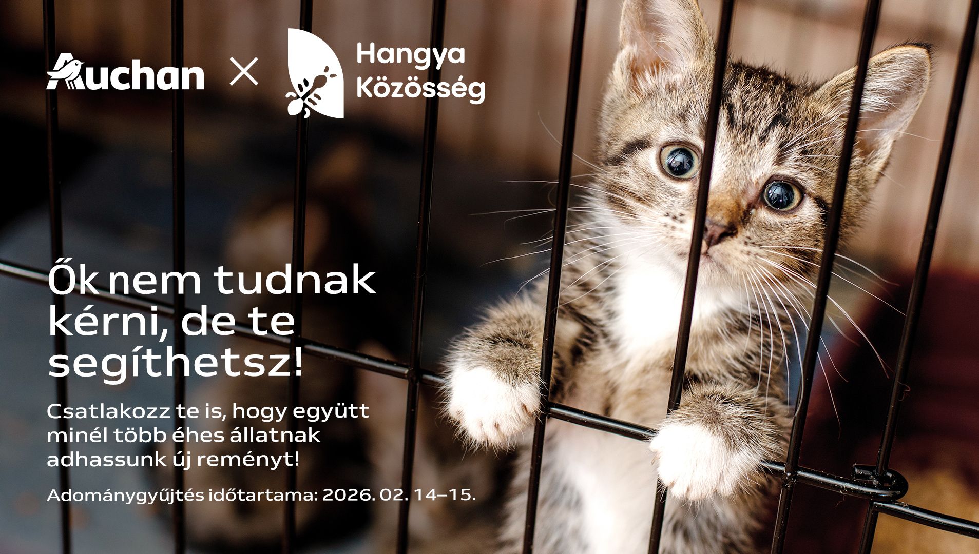 Segítsünk minél több éhes mentett állatnak!