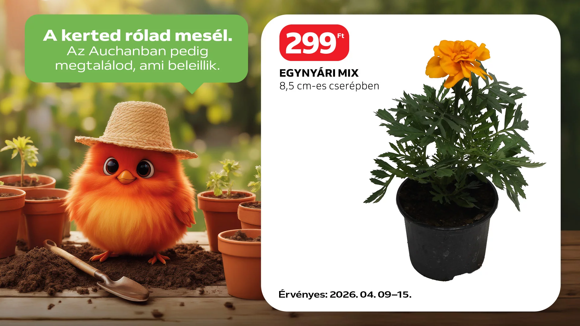 Virágoznak a kedvezmények!