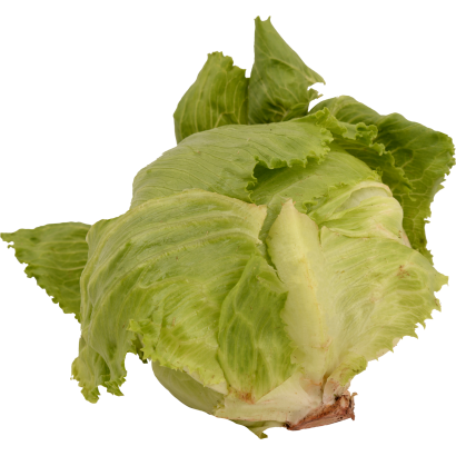 Gazdától Az Asztalig Jégsaláta